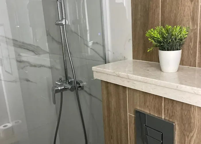 Vitosha Apartament *